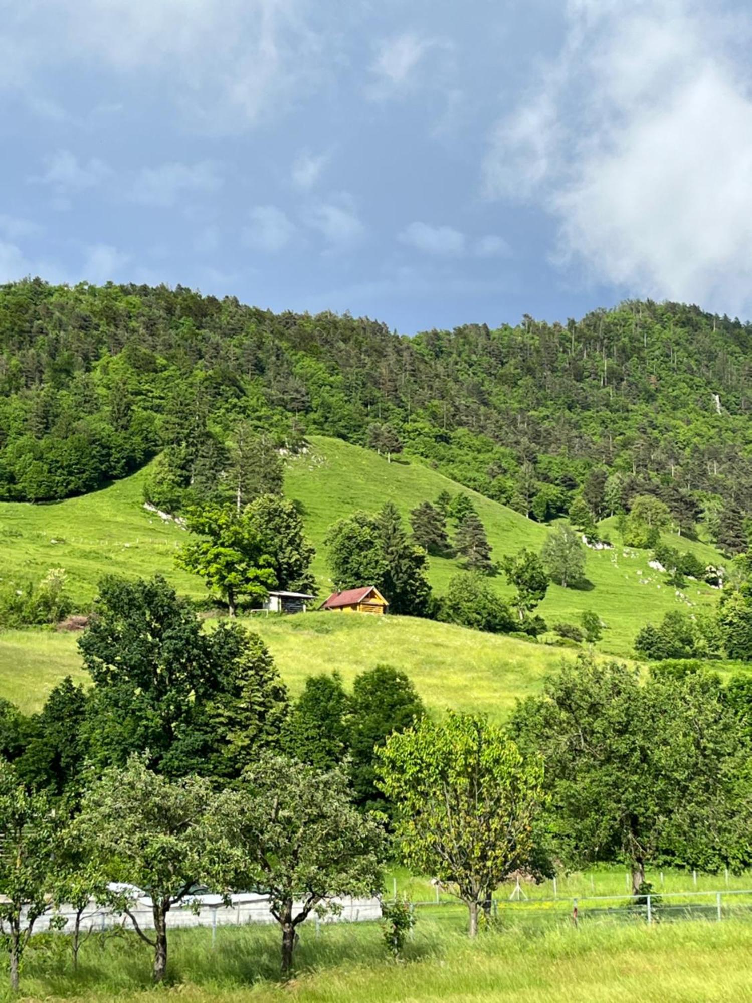 Cottage Zirovnica Exterior foto